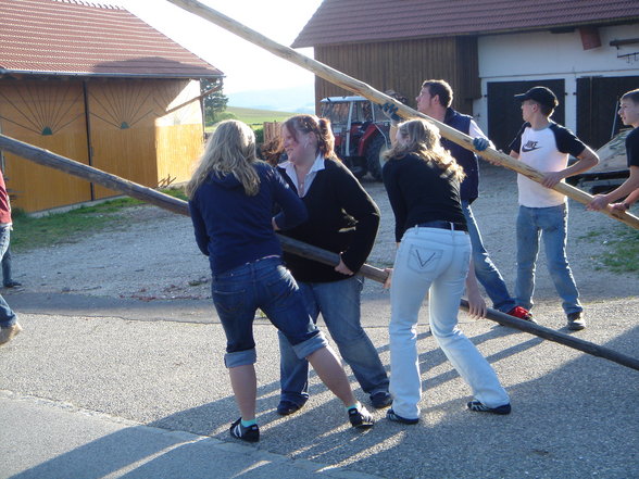 Maibaum auslesn in Oberbayring - 