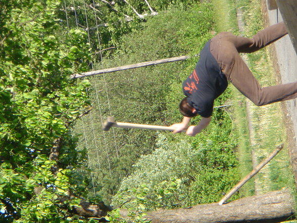 Maibaum auslesn in Oberbayring - 