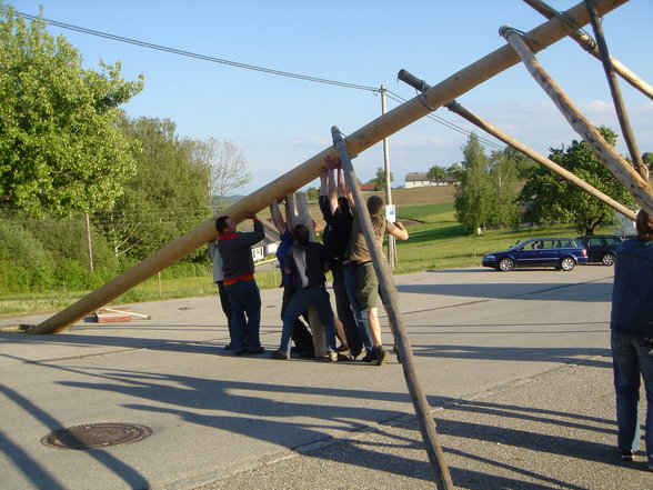 Maibaum auslesn in Oberbayring - 