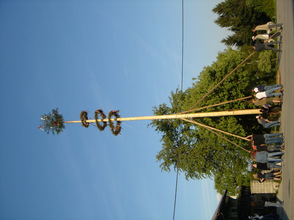 Maibaum auslesn in Oberbayring - 