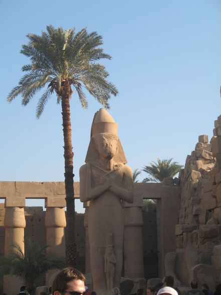 Ägypten 2008/2009 - 