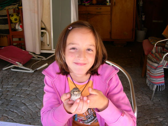 Mein Vogel^^ - 