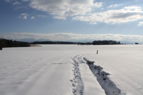 der Blick vom Pferd im Winter! - 