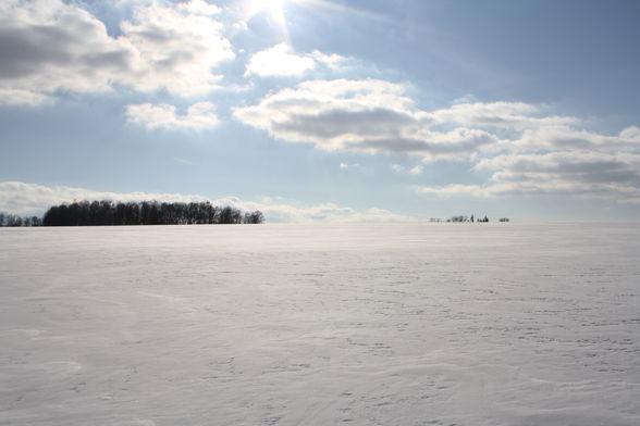 der Blick vom Pferd im Winter! - 