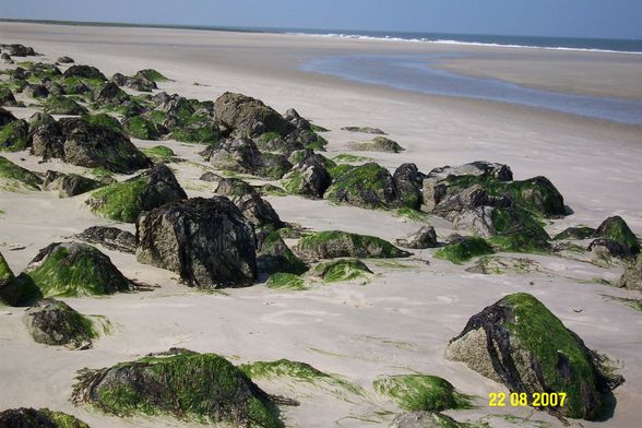 urlaub an der  nordsee - 