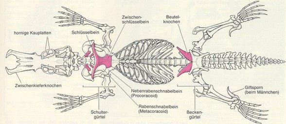 Meine Verwandten - 