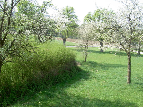 Zuhause ists am schönsten - 