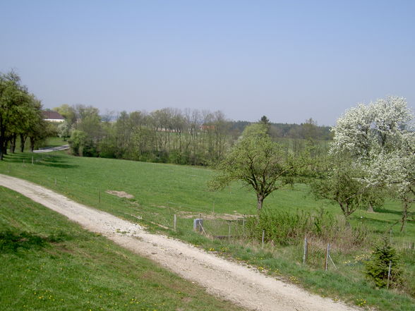 Zuhause ists am schönsten - 