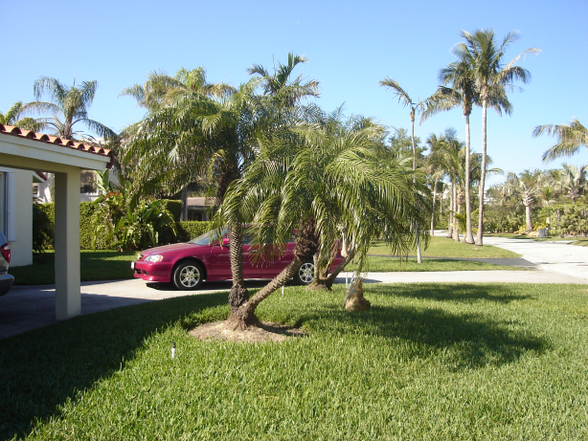 Florida: Miami - Key Biscayne - 