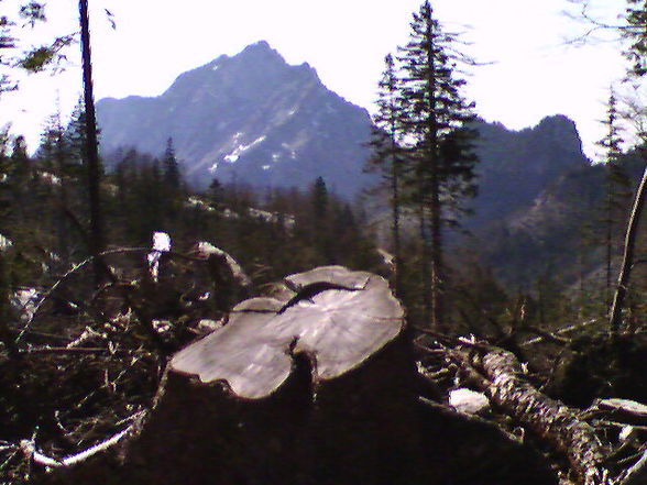 Bergwanderungen 08 - 