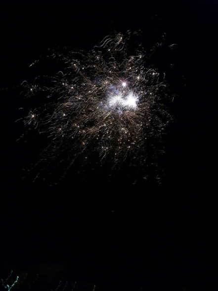 Feuerwerk 2008-2009 - 