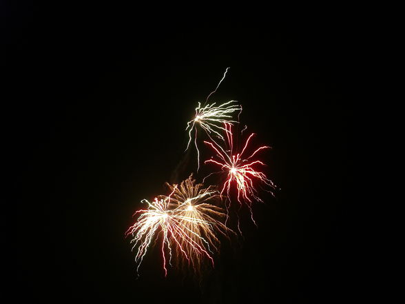 Feuerwerk 2008-2009 - 