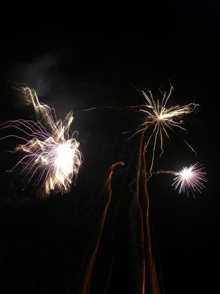 Feuerwerk 2008-2009 - 