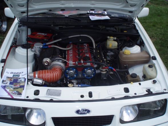 Ford Treffen Focusfans 2008 - 