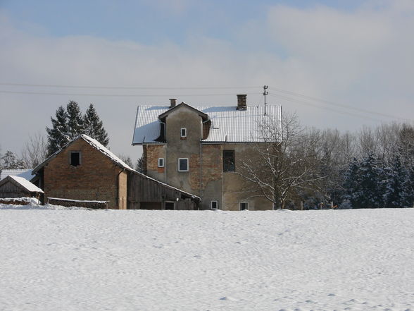 Wunderschöner Wintertag - 