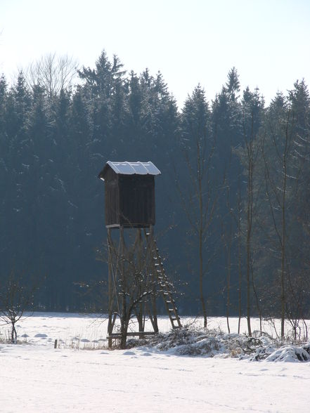 Wunderschöner Wintertag - 