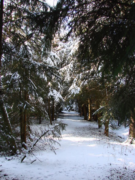 Wunderschöner Wintertag - 