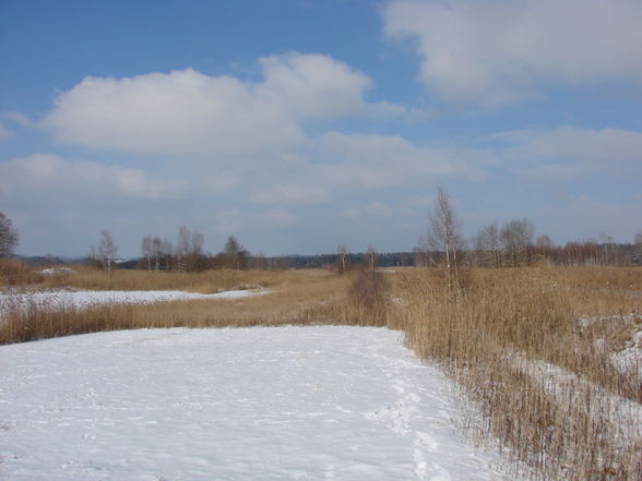 Wunderschöner Wintertag - 