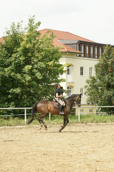 Trainingslager Rainbach 08 - 