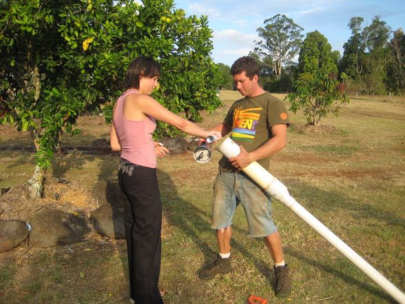 Australien 5 bananafarm - 