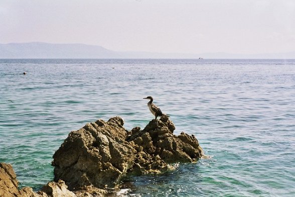 Kroatien - 