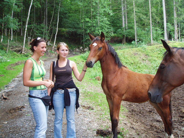 Mein Pony und mein Baby - 