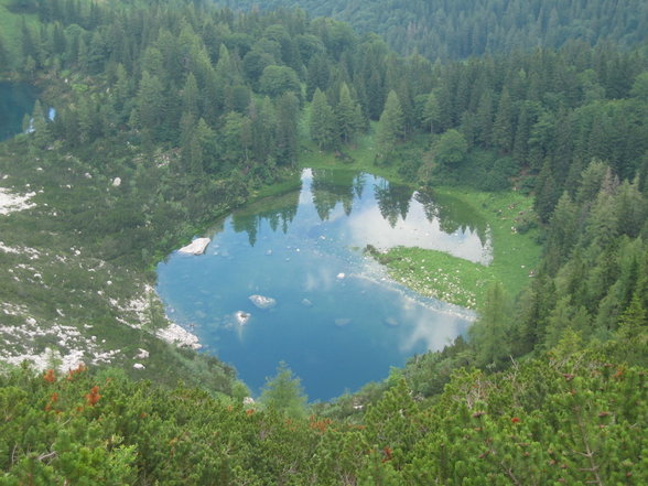 bundesheer wandertag und co:. - 