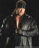 *the undertaker* - 