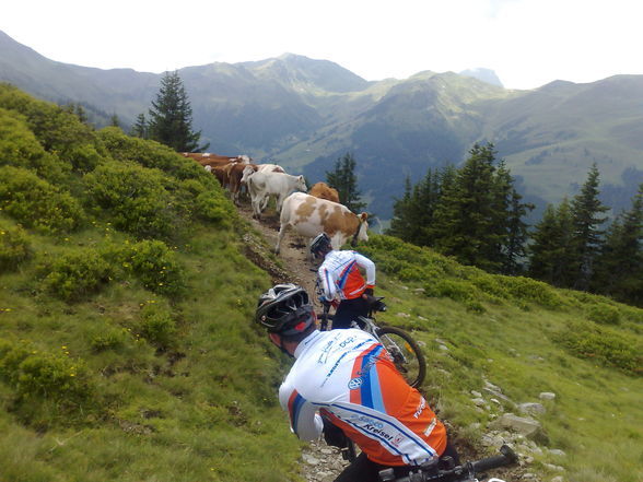 Mountainbiken Leogang Saalbach  - 