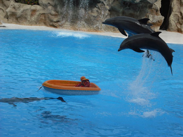 Loro Parque - 