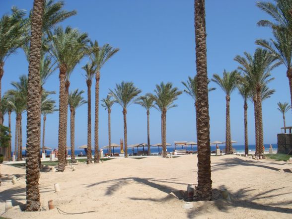 Hurghada `08 - 