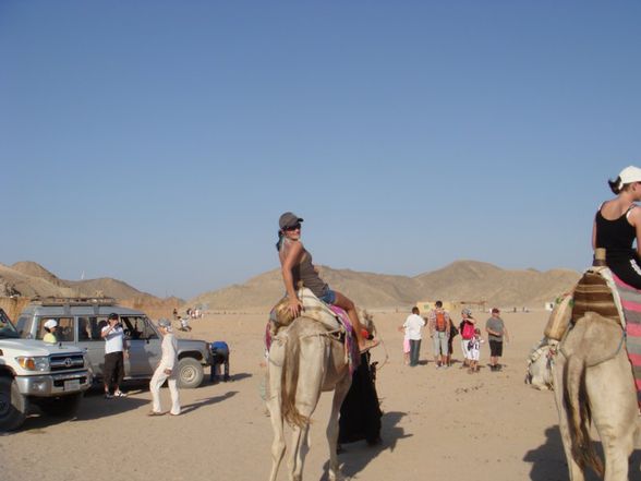 Hurghada `08 - 