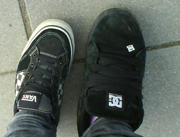 molle & i. - 