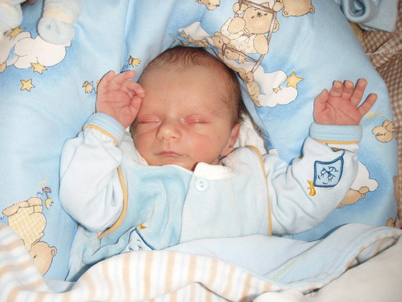 unser junior FELIX!!! - 