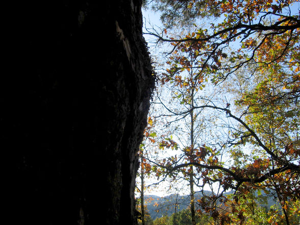 ein wunderschöner herbsttag - 