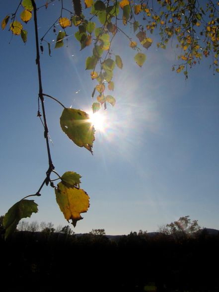 ein wunderschöner herbsttag - 