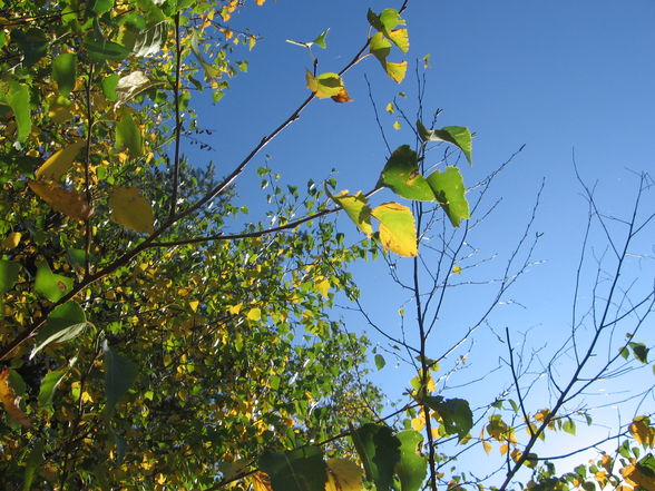 ein wunderschöner herbsttag - 