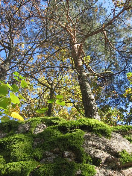 ein wunderschöner herbsttag - 