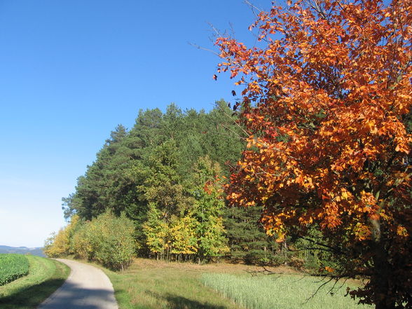 ein wunderschöner herbsttag - 