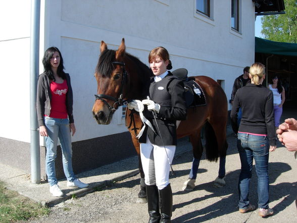 2009 mit meine pferdal - 