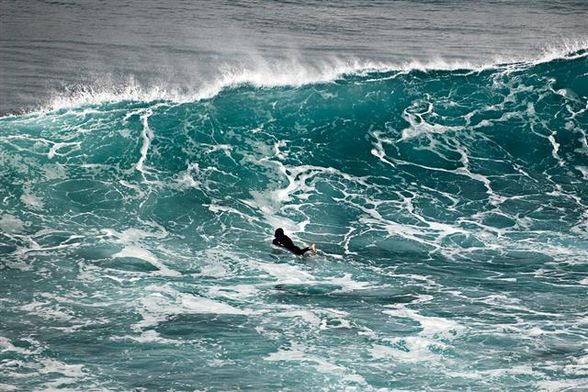 surfen fuerteventura - 