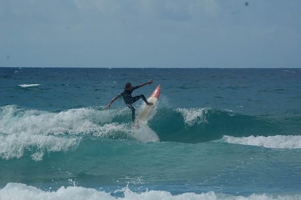 surfen fuerteventura - 