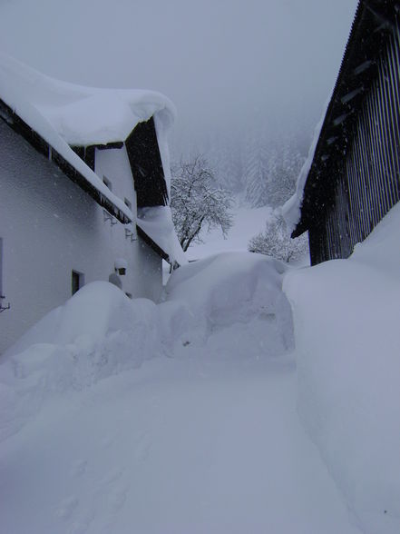 Winter 2008/09 sehr viel schnee - 