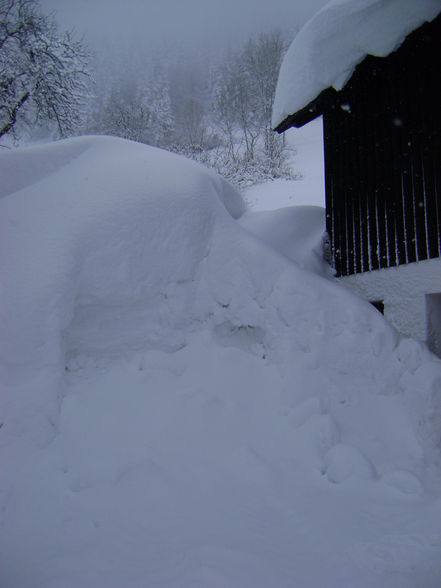 Winter 2008/09 sehr viel schnee - 