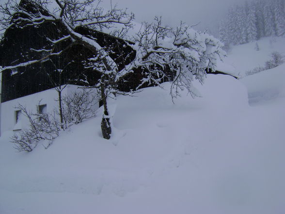 Winter 2008/09 sehr viel schnee - 