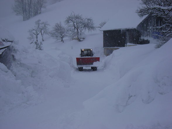 Winter 2008/09 sehr viel schnee - 