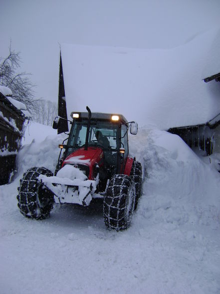 Winter 2008/09 sehr viel schnee - 