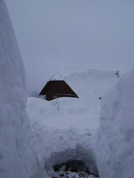 Winter 2008/09 sehr viel schnee - 