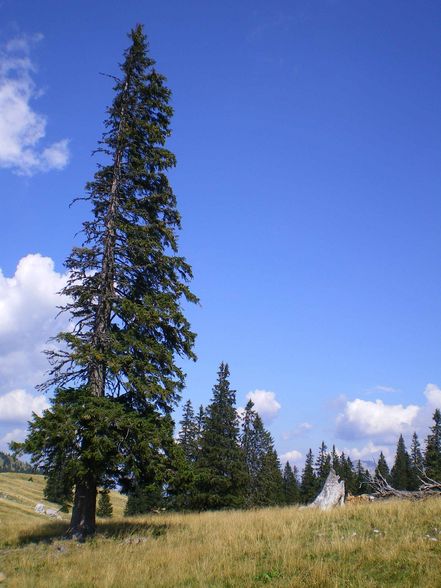 Wanderung in Dürnstein - 