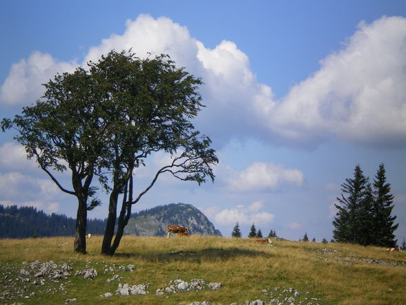 Wanderung in Dürnstein - 